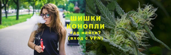 дживик Белокуриха