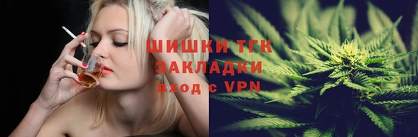 соль ск Богданович