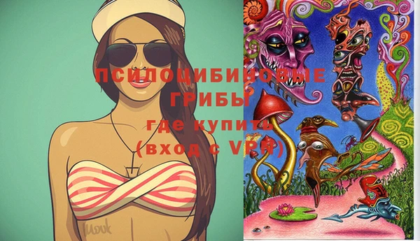 мдпв Богородицк